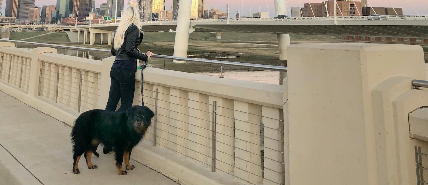 Image for Dog-Friendly Dallas