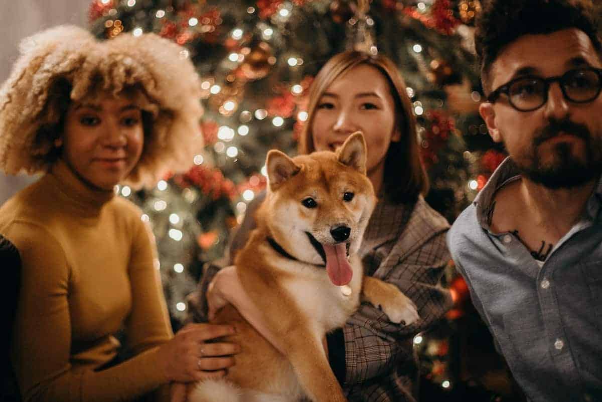 friends at christmas