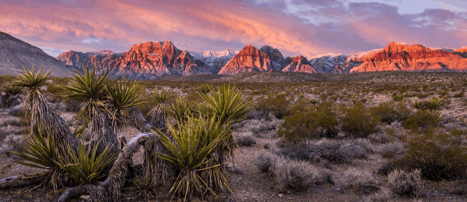 best places to live in nevada