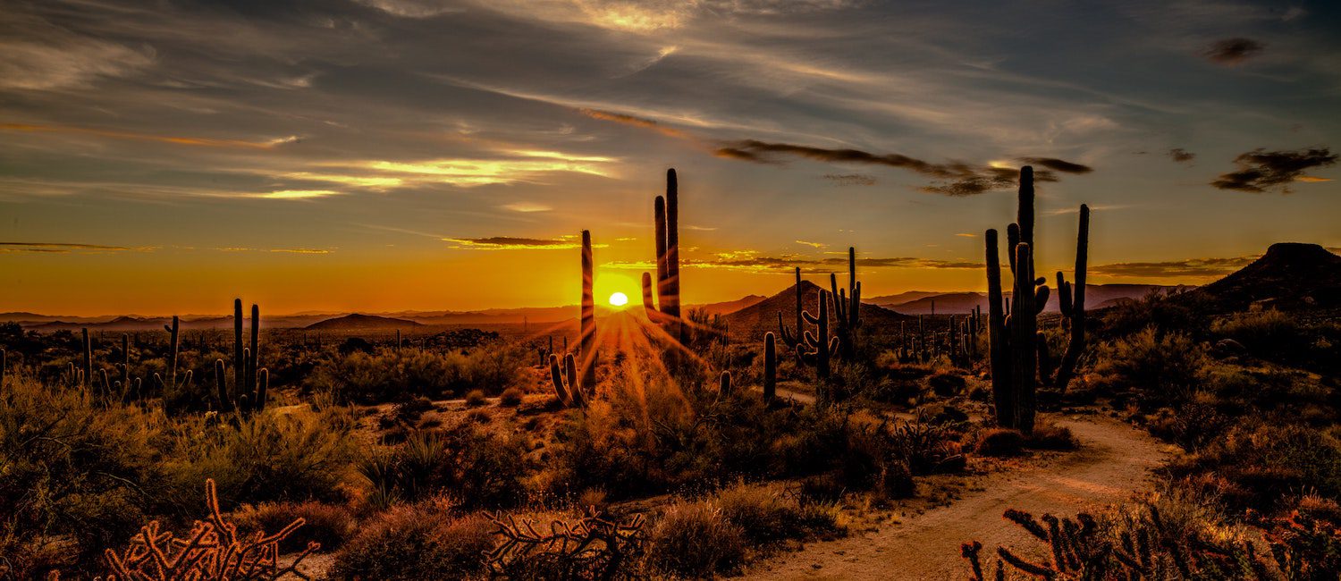 Arizona