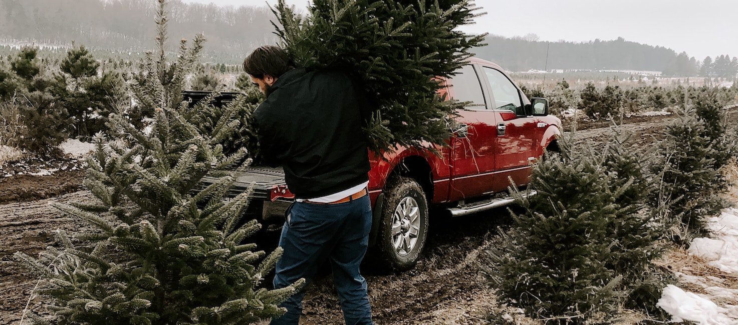 best type of christmas tree