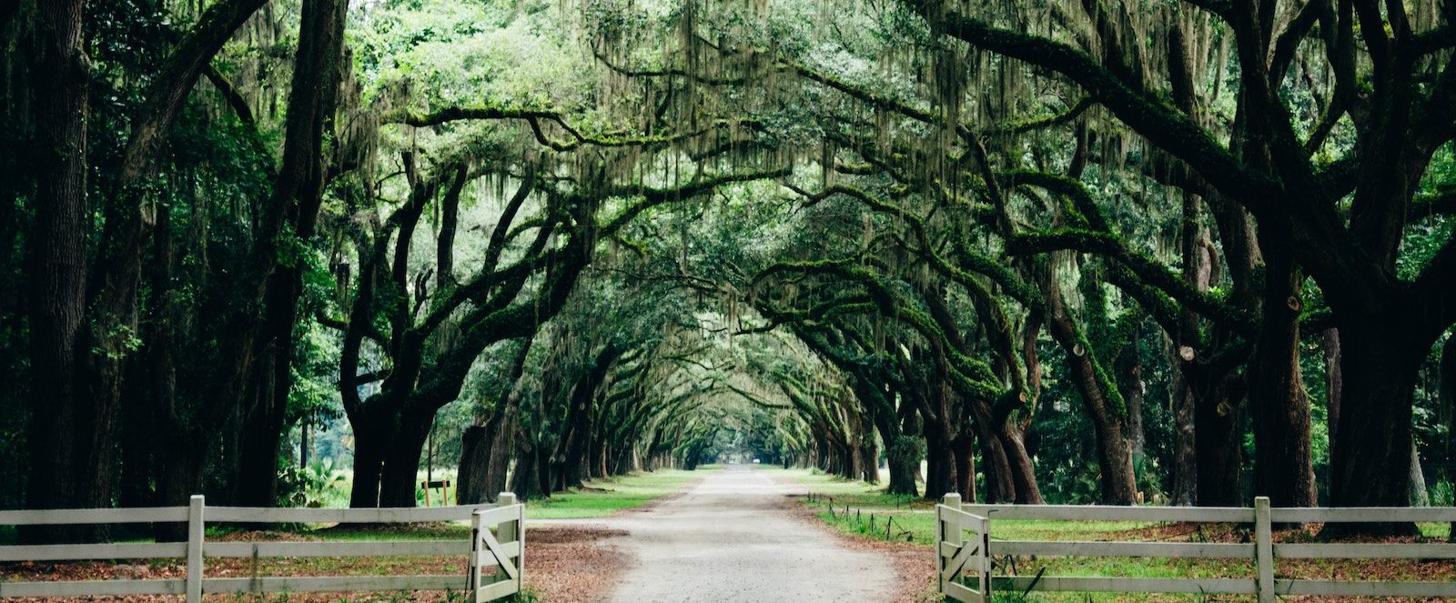 Image for Is Savannah, GA, a Good Place to Live?
