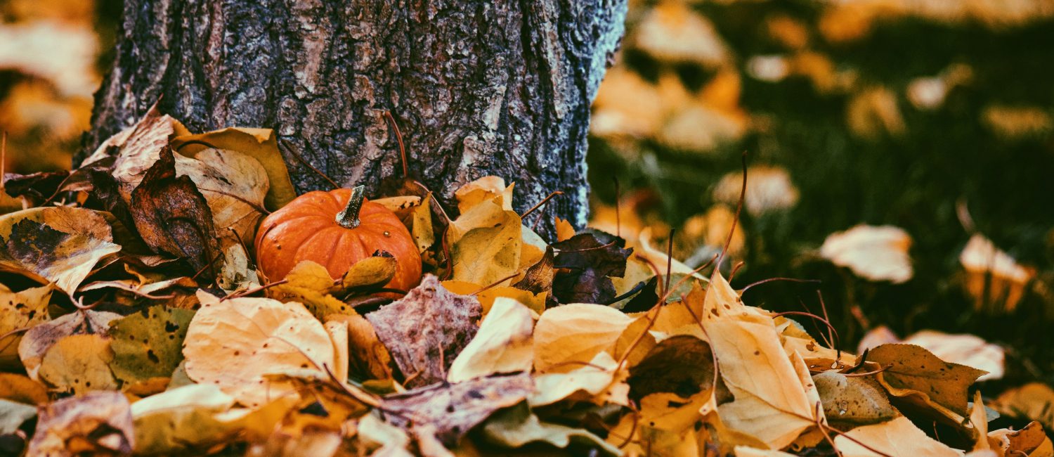 fall décor trends go beyond pumpkins