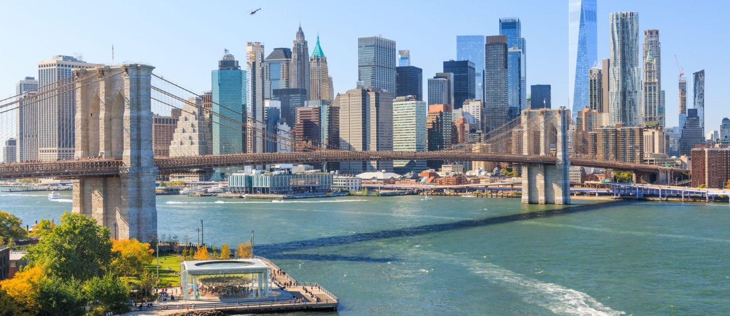 Gorgeous skyline of New York, a city full of pros and cons