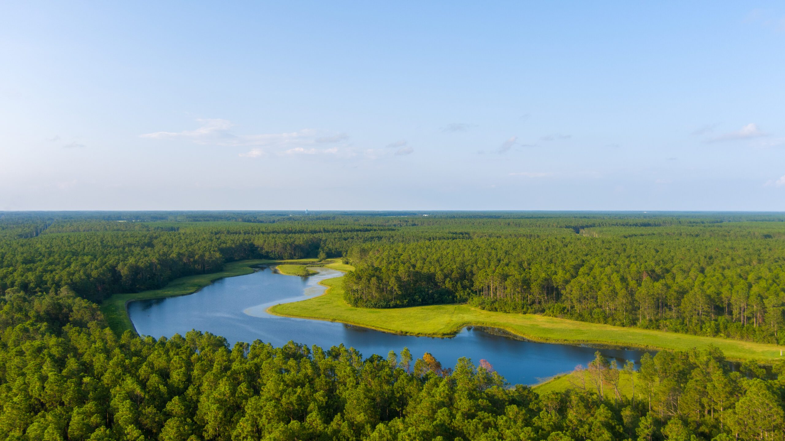 lake and trees in alabama