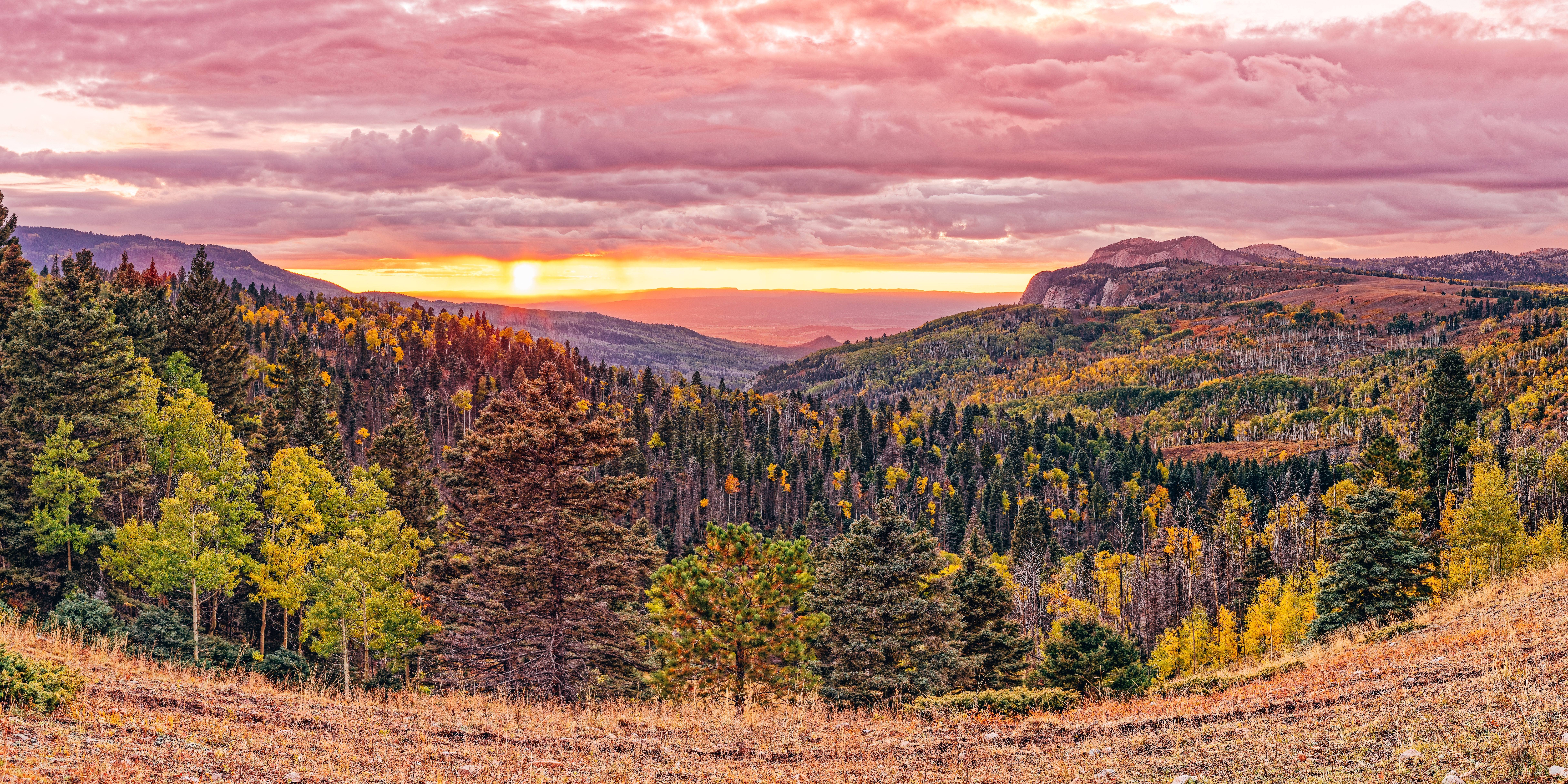 Image for Is New Mexico a Good Place to Live? 10 Pros and Cons of Renting in New Mexico