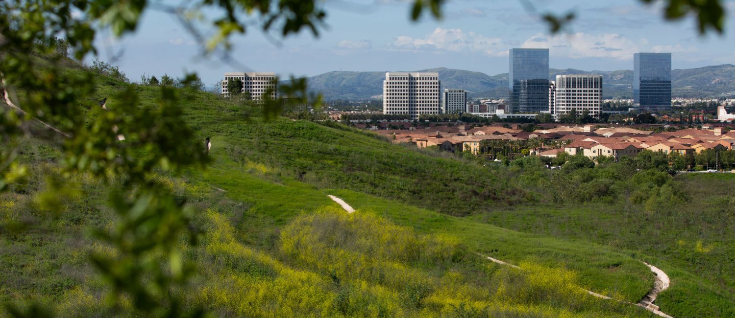 View of the skyline in Irvine, a California city full of pros and cons