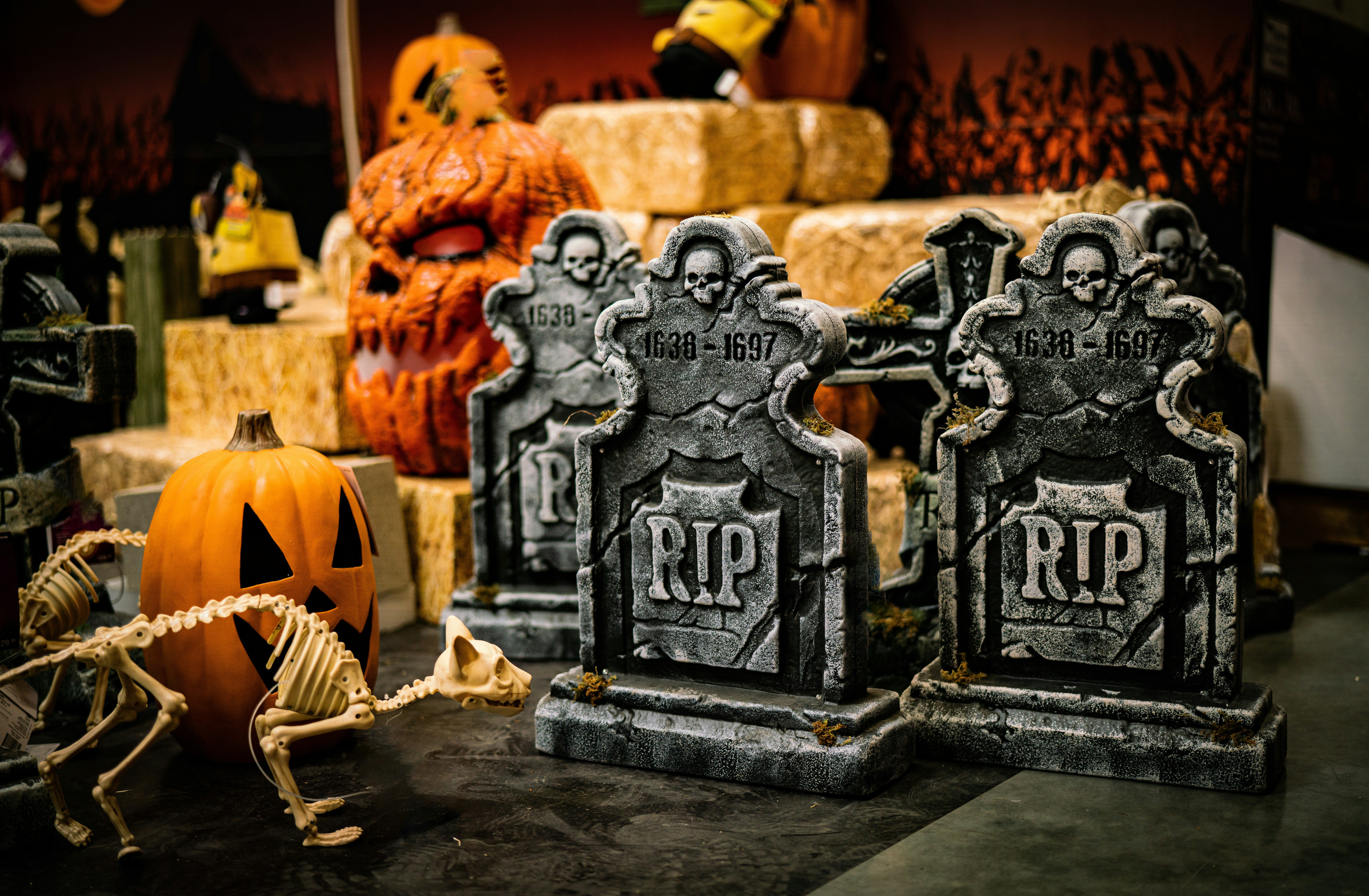 Carved pumpkins, tombstones and skeletons laid out on a table for Halloween decor