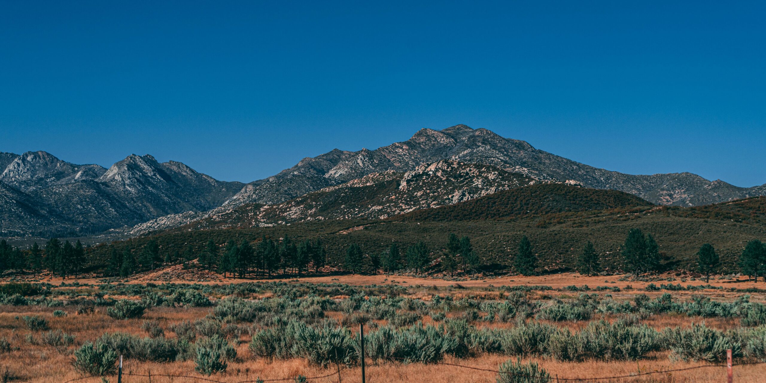 Image for 10 Unique Things to Do in San Bernardino, CA