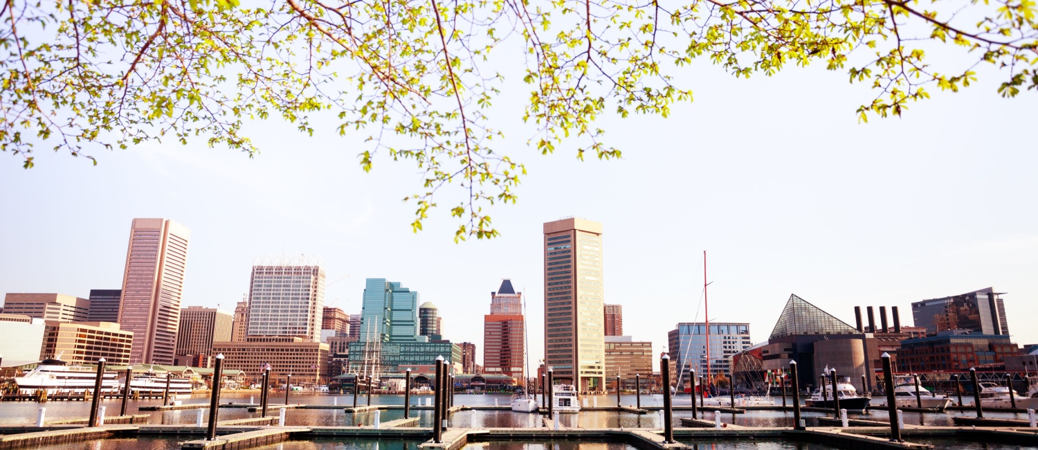 A beautiful day in Maryland looking out onto the iconic Baltimore skyline